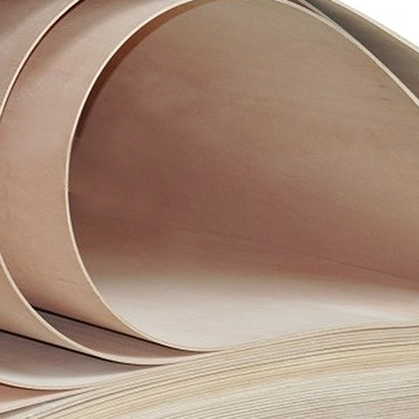 요꼬/오징어 합판4T x 1220 x 2440 ( 4 x 8 ) ( 강 질 )